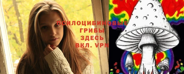 герыч Осинники